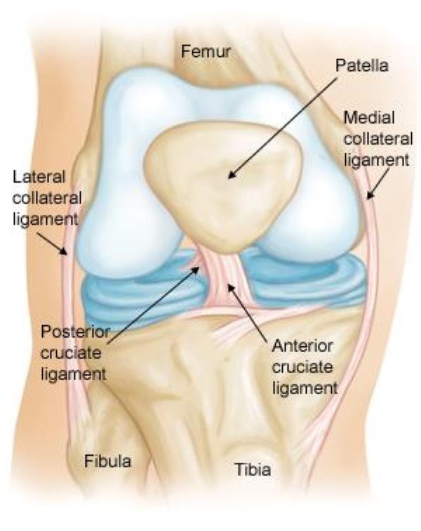 ACL Knee Injury